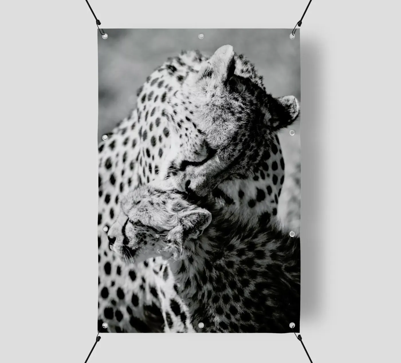 Bath Time telo in pvc da Natural Kingdom