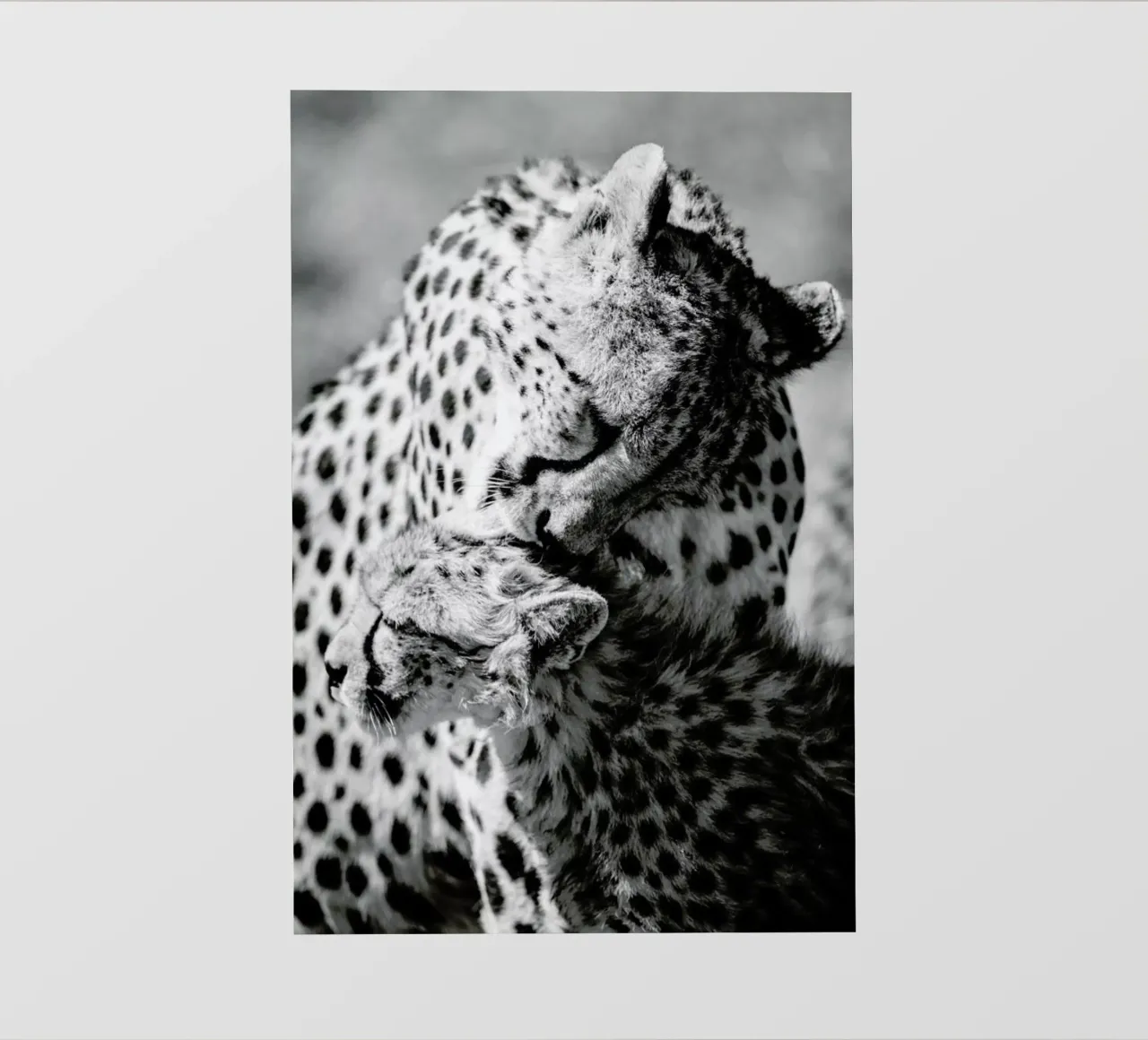 Bath Time telo in pvc da Natural Kingdom