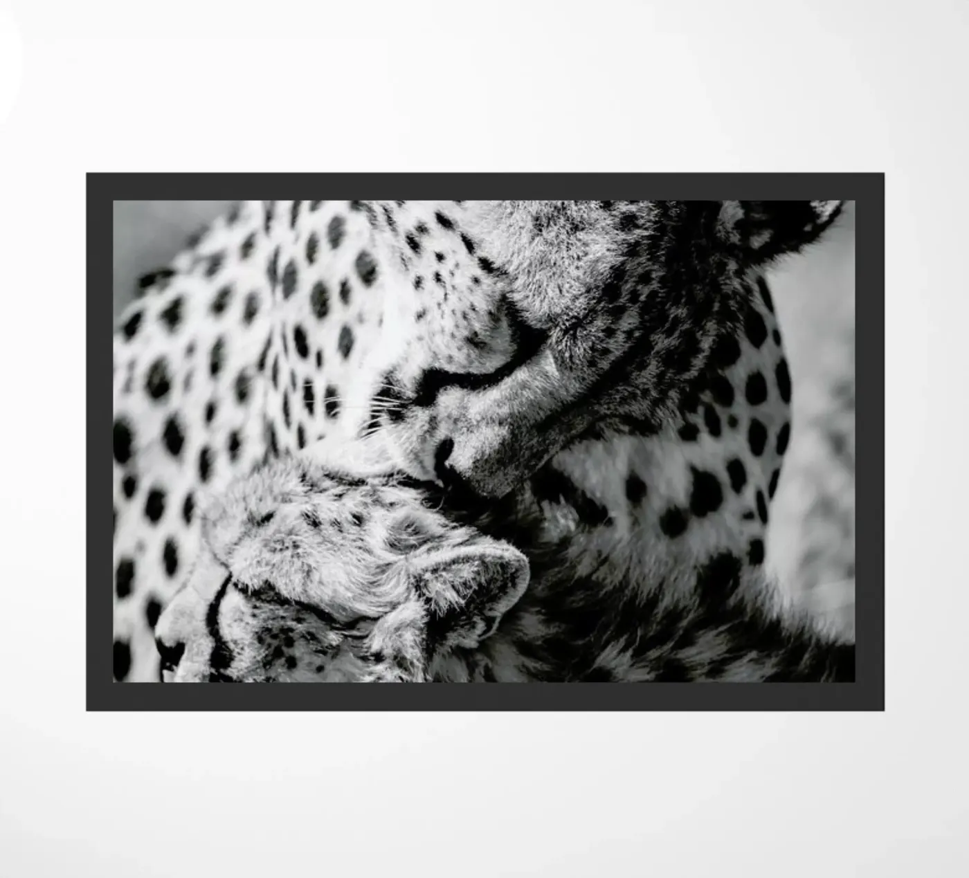 Bath Time zerbino da Natural Kingdom