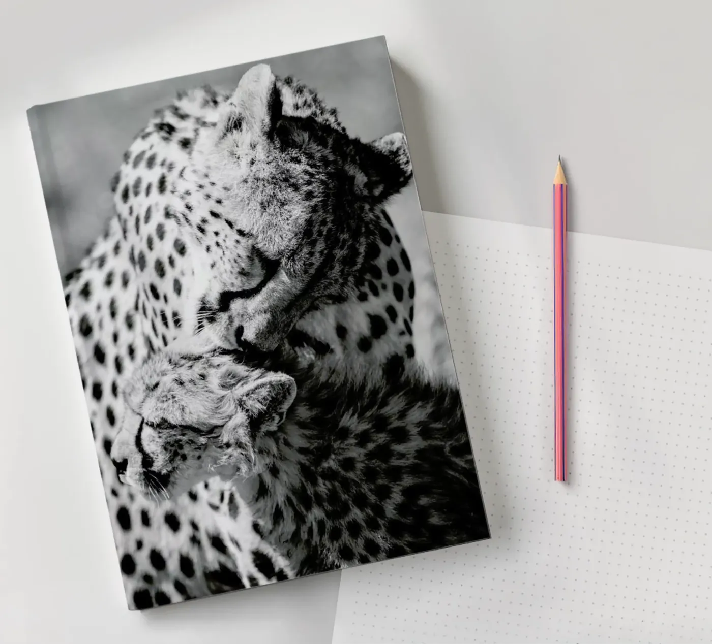 Bath Time quaderno da Natural Kingdom