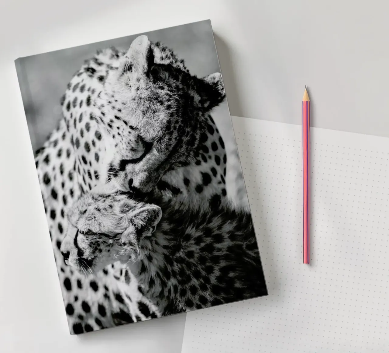 Bath Time notebook by Natural Kingdom