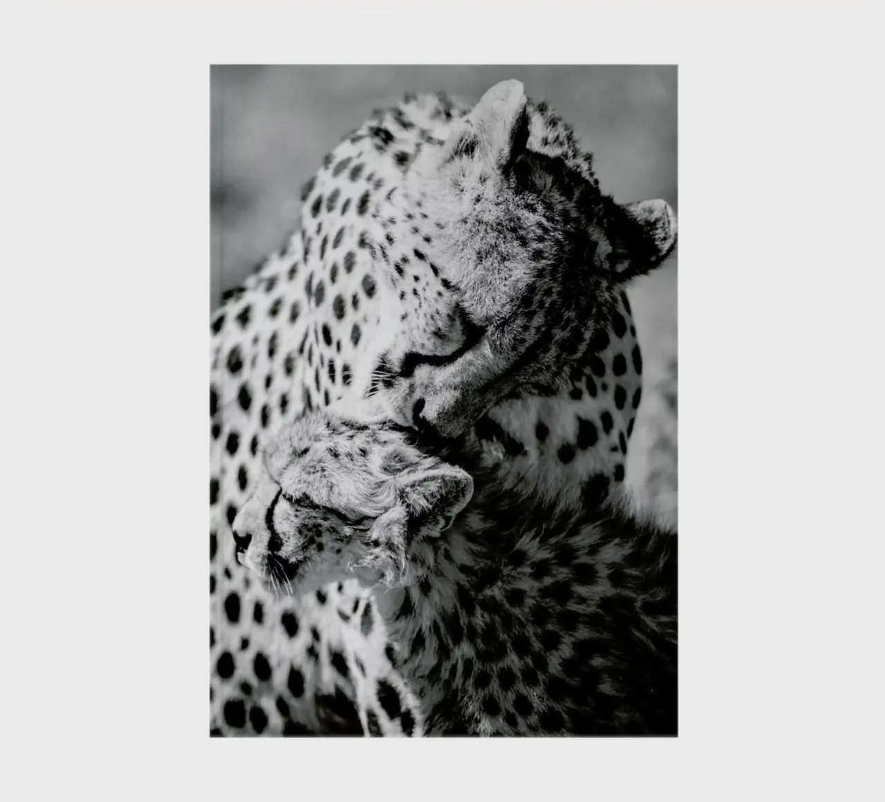 Bath Time notebook by Natural Kingdom