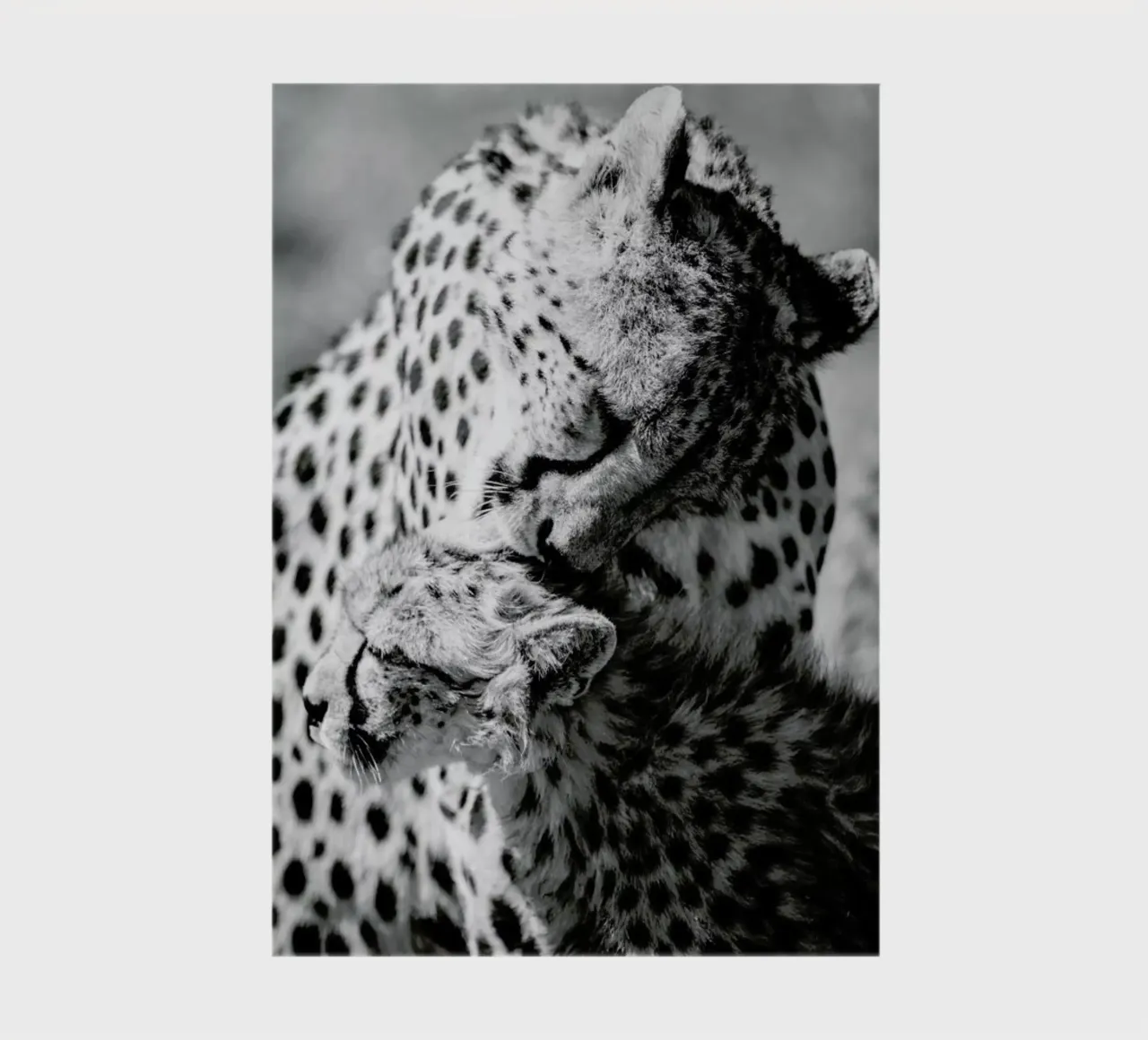 Bath Time notebook by Natural Kingdom