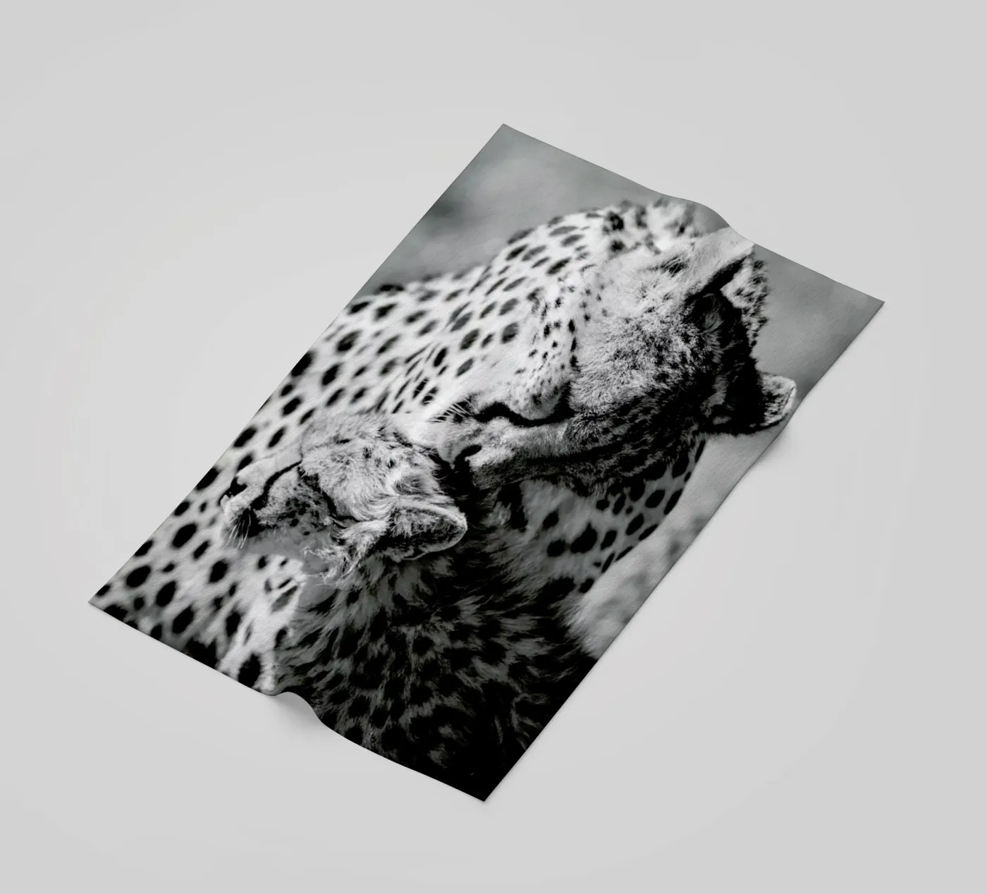 Bath Time beach towel by Natural Kingdom