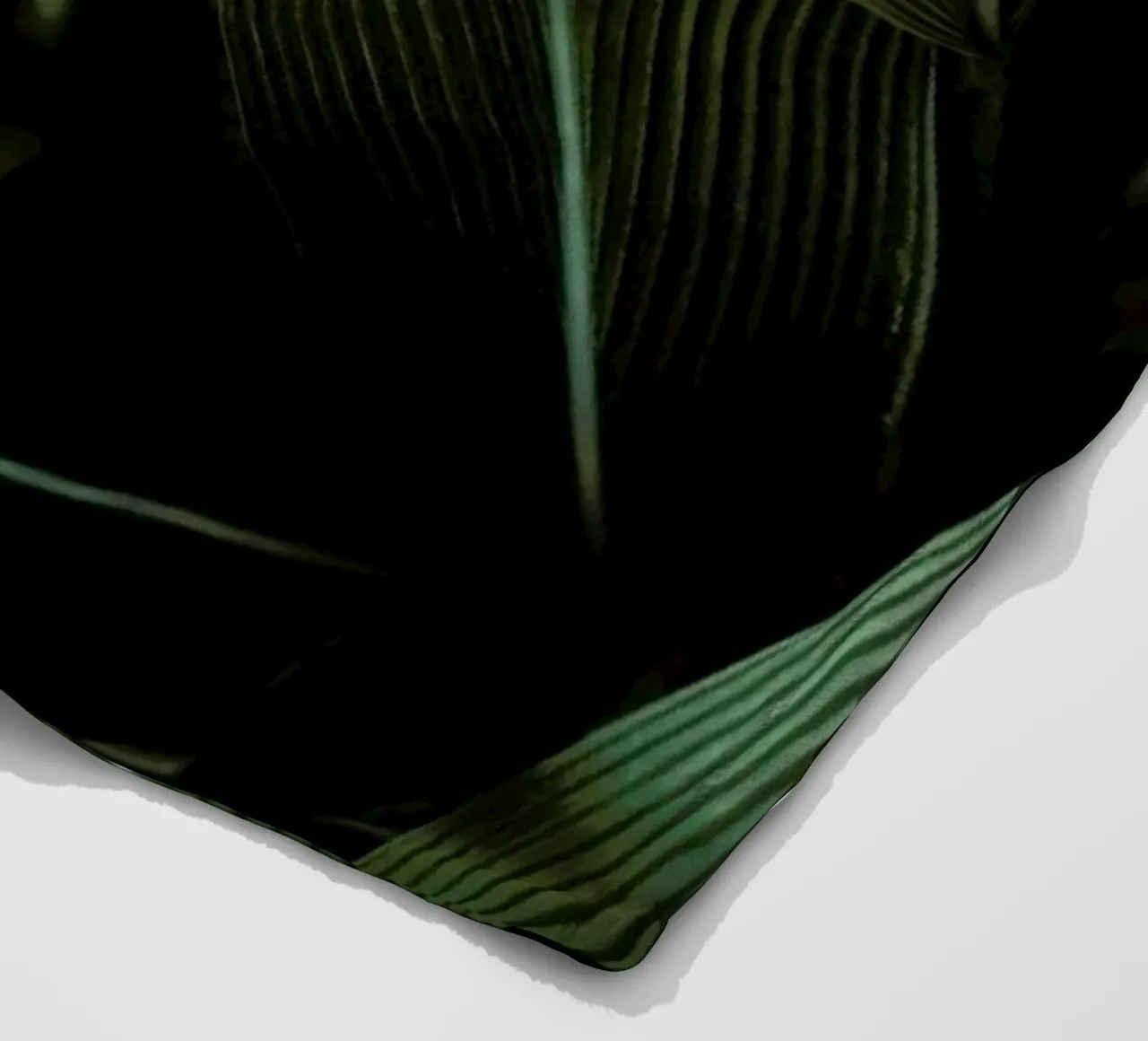 Minimal Plants coperta in pile da Studio Nahili