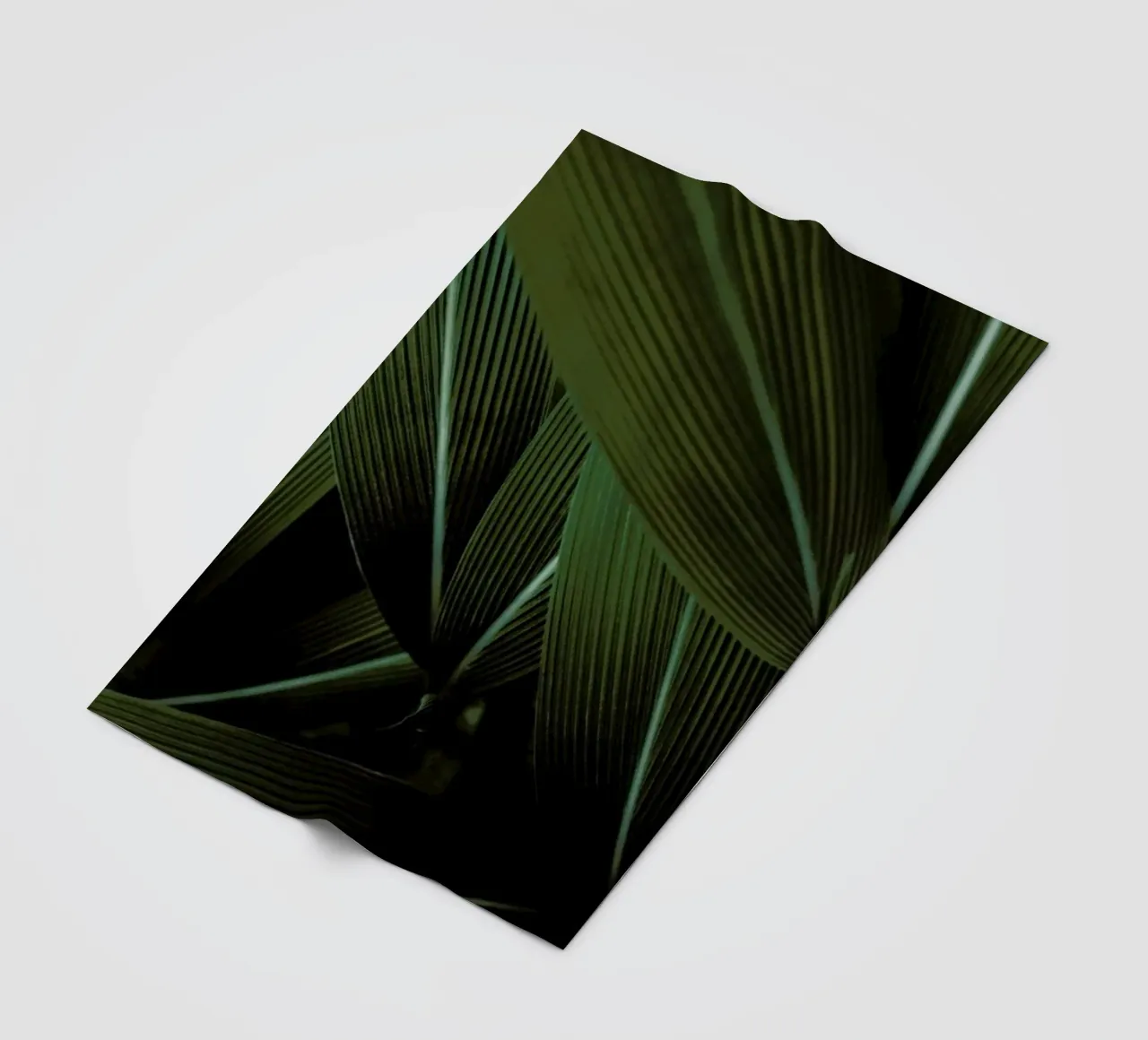 Minimal Plants coperta in pile da Studio Nahili