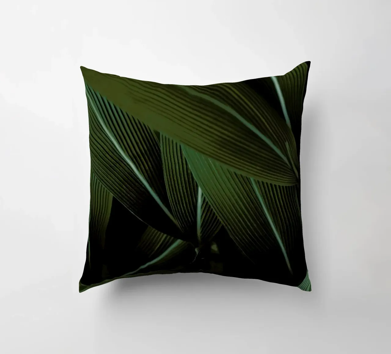 Minimal Plants cuscino da Studio Nahili