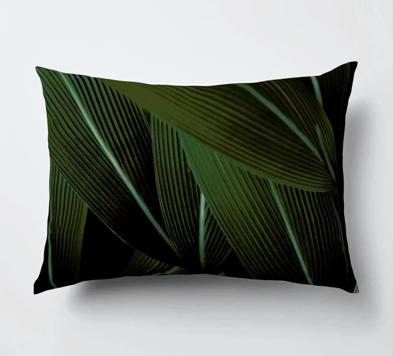 Minimal Plants cuscino da Studio Nahili