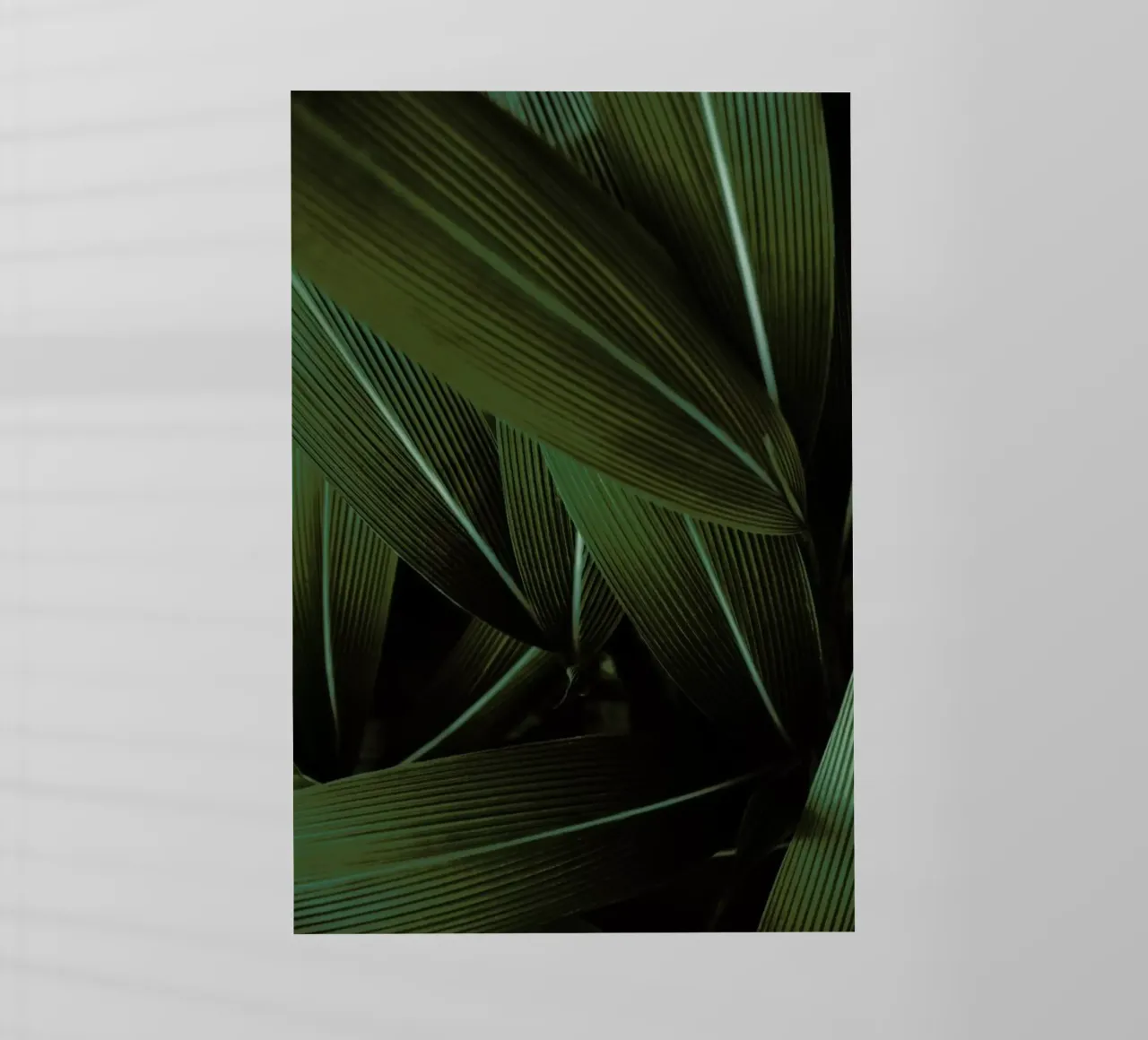 Minimal Plants pellicola backlit da Studio Nahili