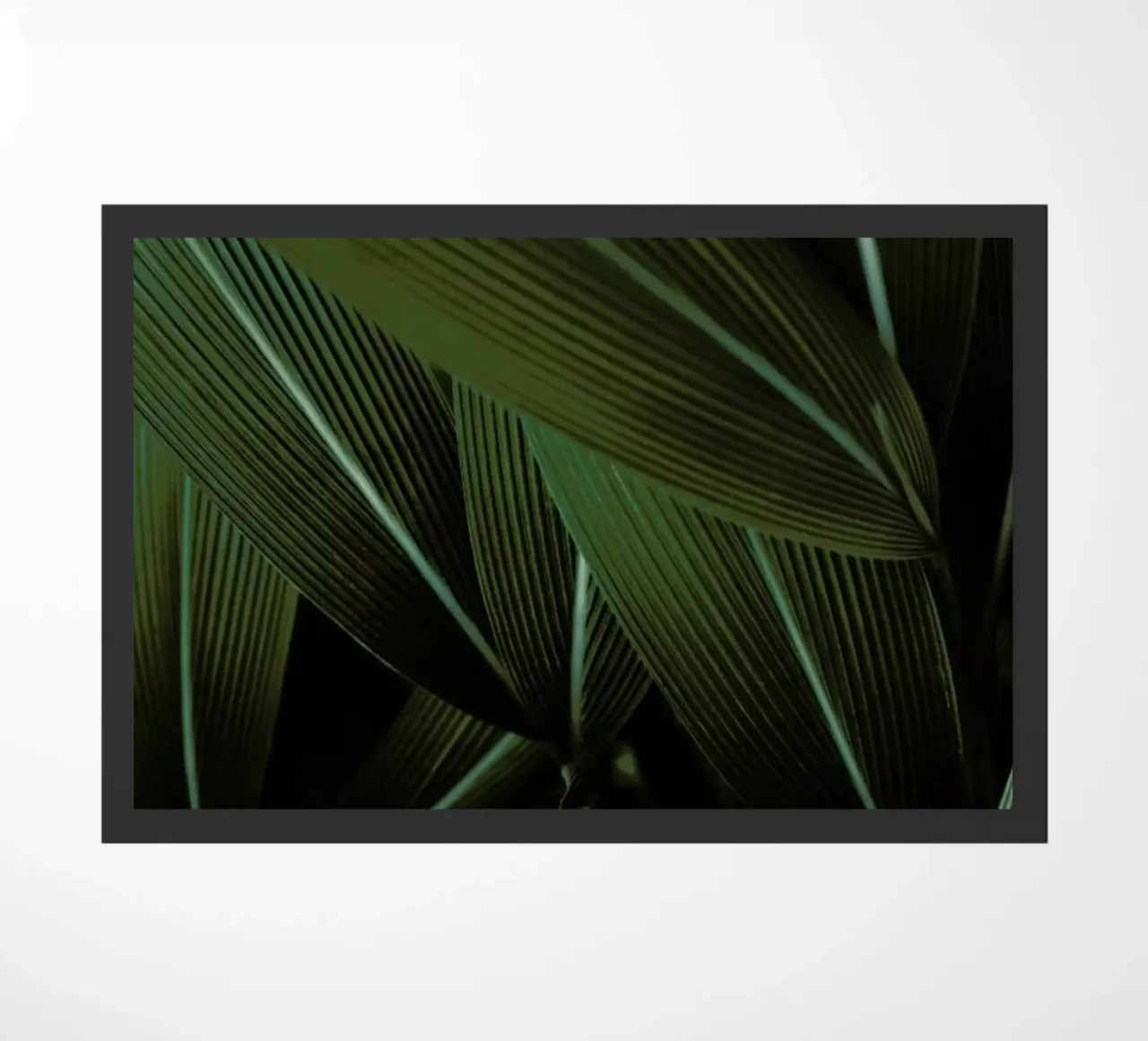 Minimal Plants zerbino da Studio Nahili