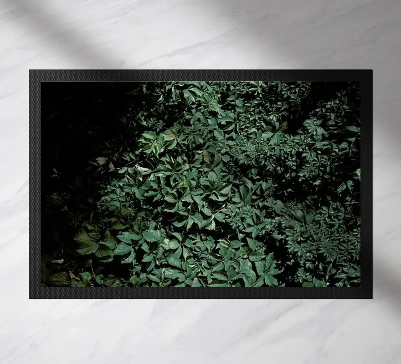 Greens zerbino da Picture On The Fridge