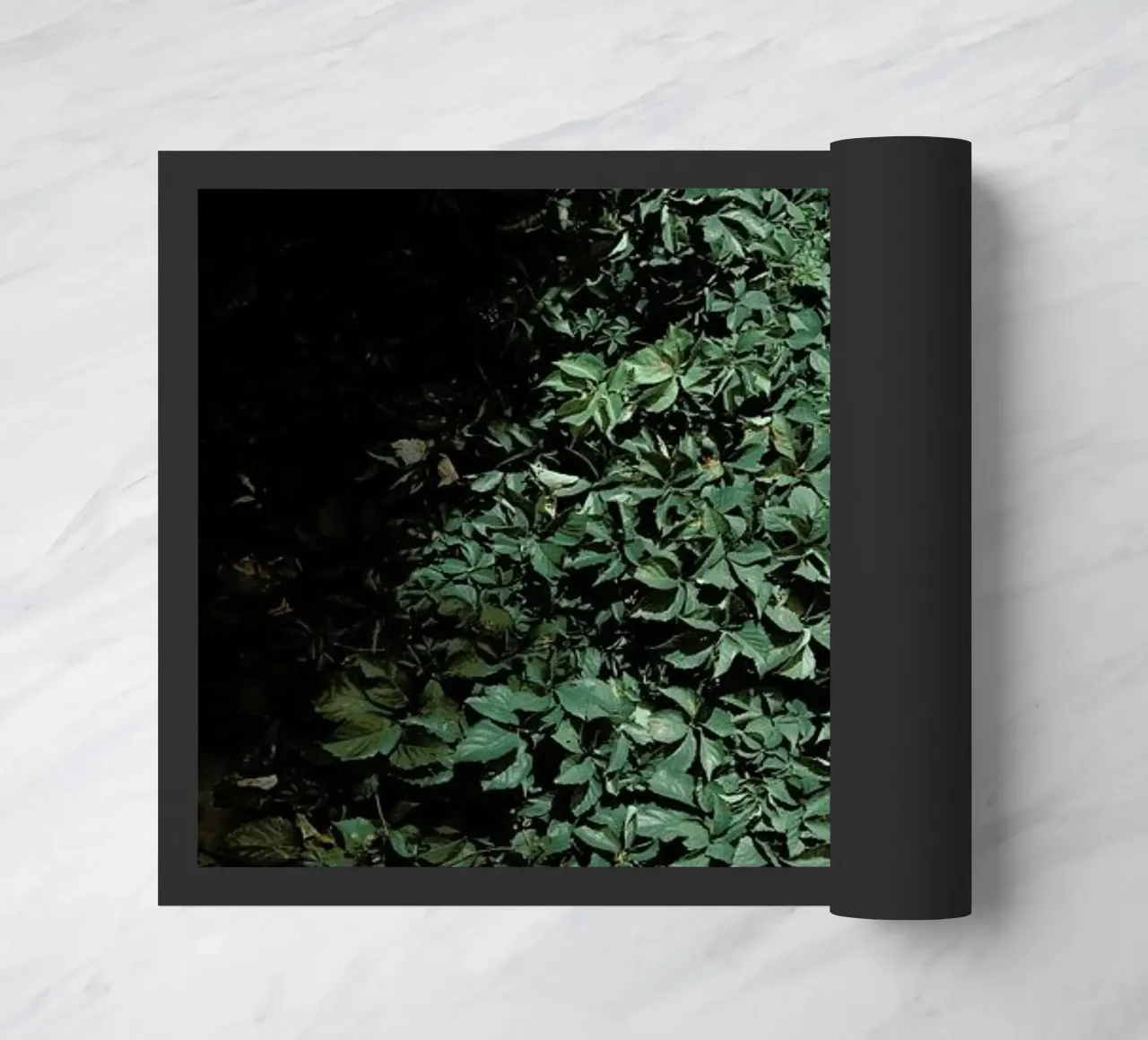 Greens zerbino da Picture On The Fridge