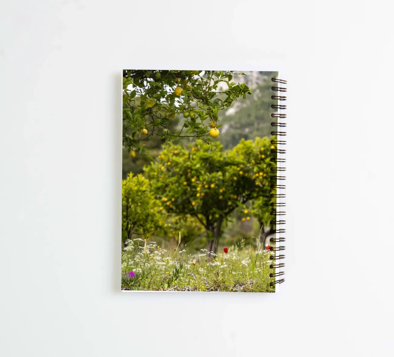 Zitronenbaum in Griechenland spiral notebook by Reisefotografie - Bilder aus aller Welt
