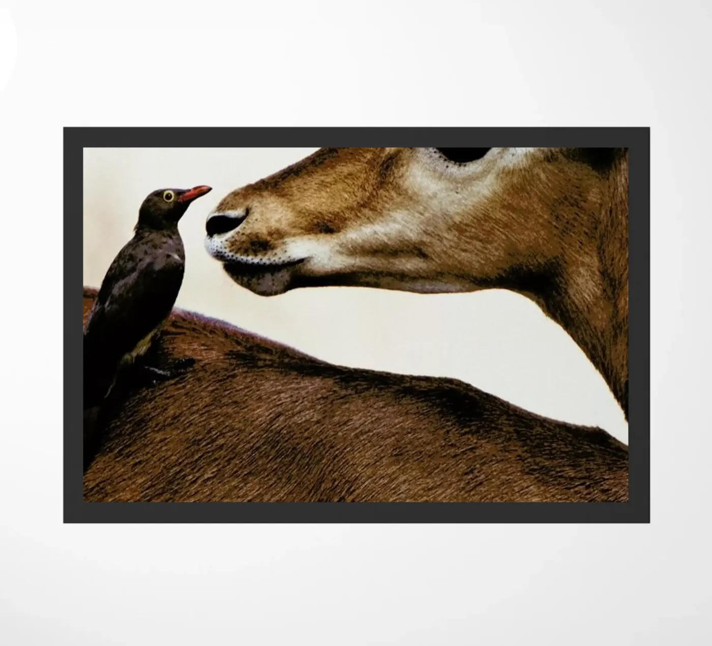 Encounter Fußmatte von Natural Kingdom