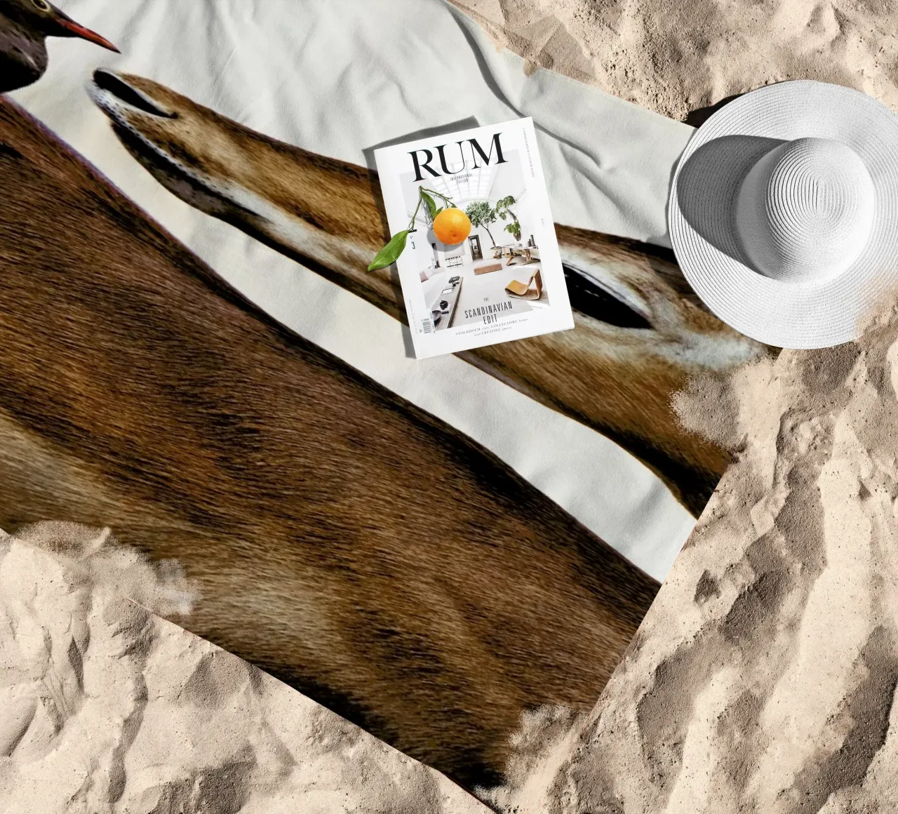 Encounter telo mare da Natural Kingdom