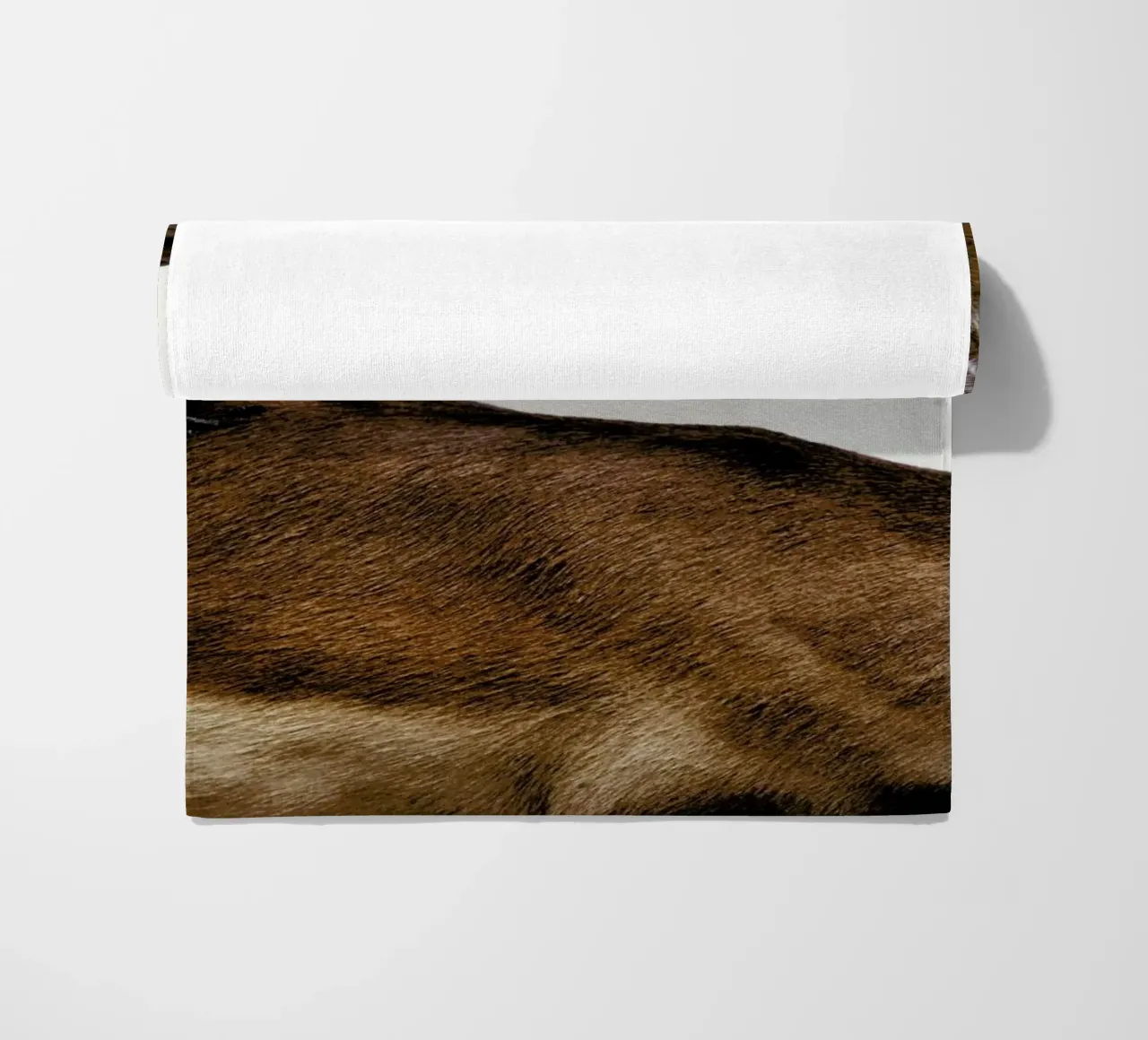 Encounter telo mare da Natural Kingdom