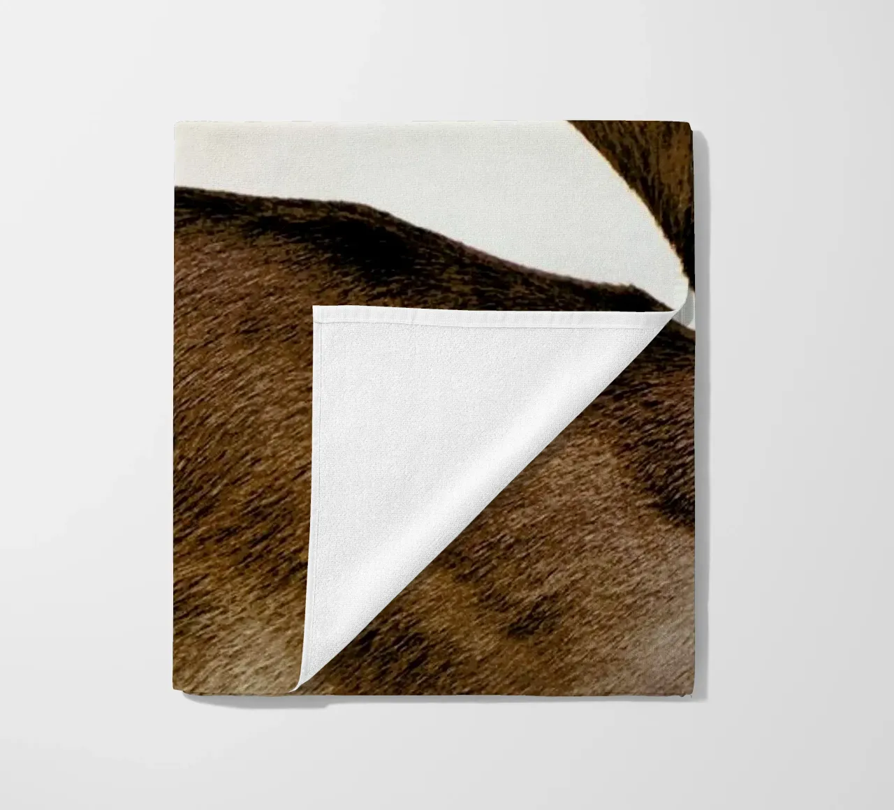 Encounter telo mare da Natural Kingdom