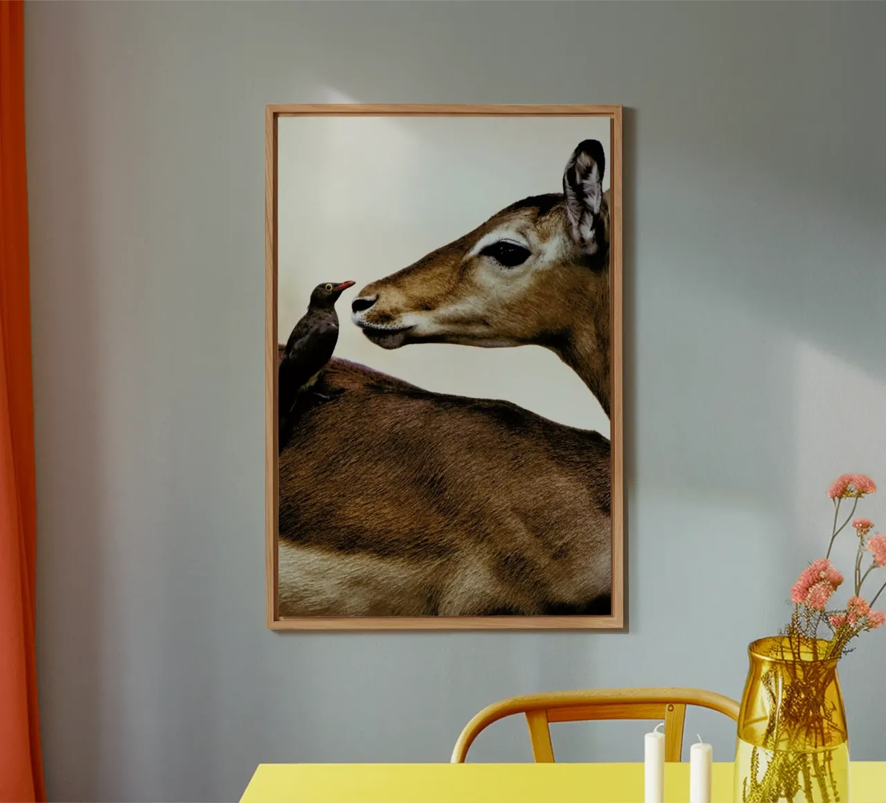 Encounter forex plate by Natural Kingdom