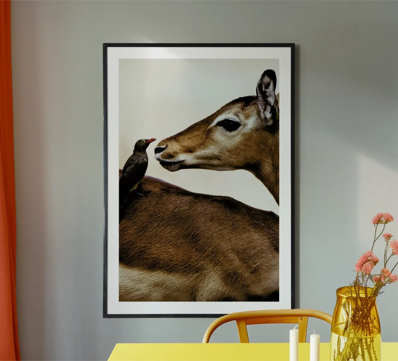 Encounter poster da Natural Kingdom