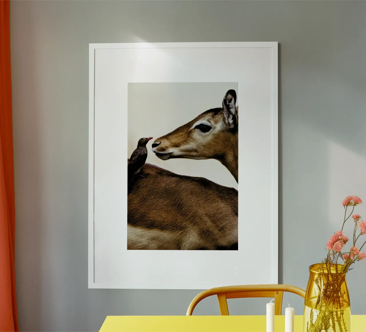 Encounter poster da Natural Kingdom