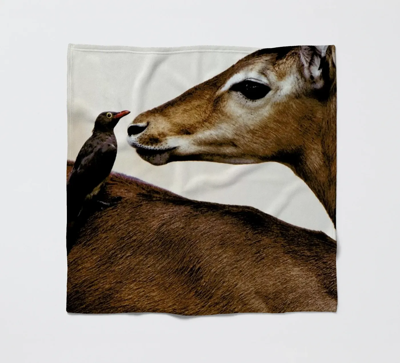 Encounter Fleecedecke von Natural Kingdom