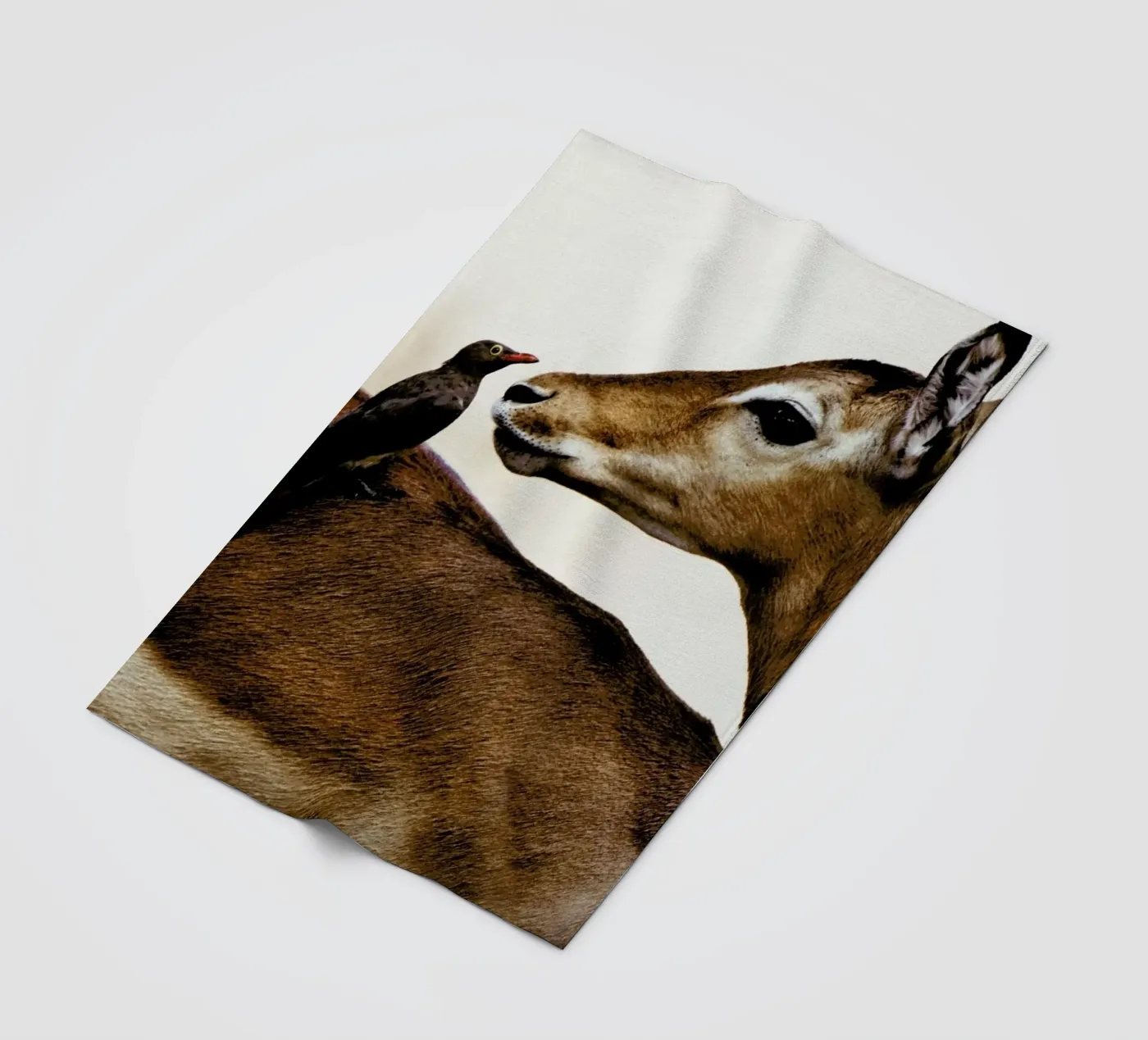 Encounter Fleecedecke von Natural Kingdom