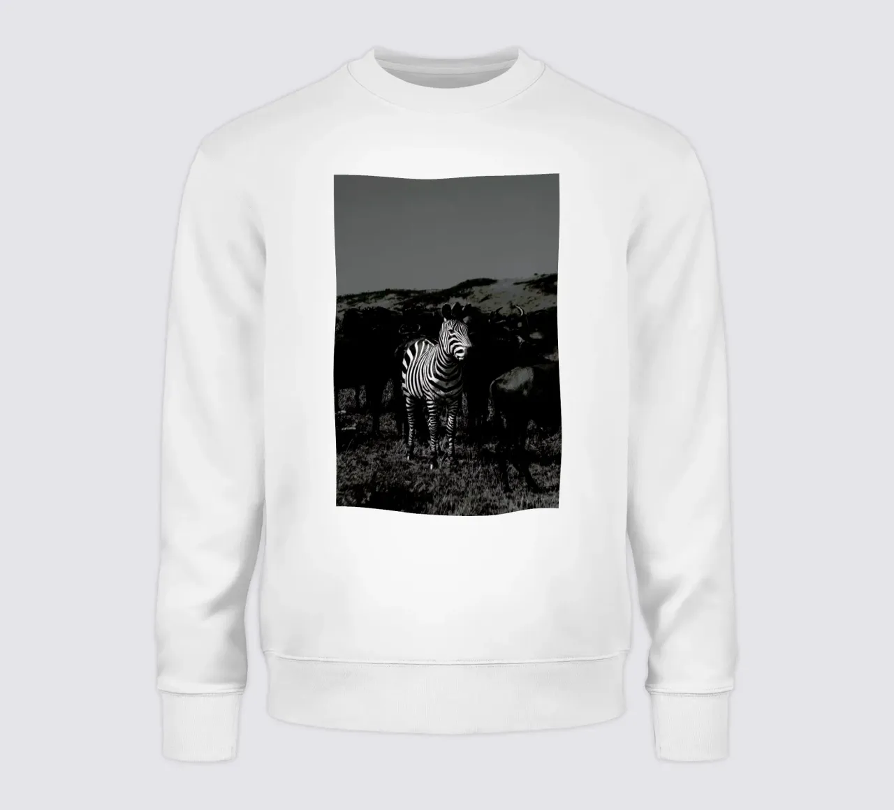 Stand Out felpa da Natural Kingdom