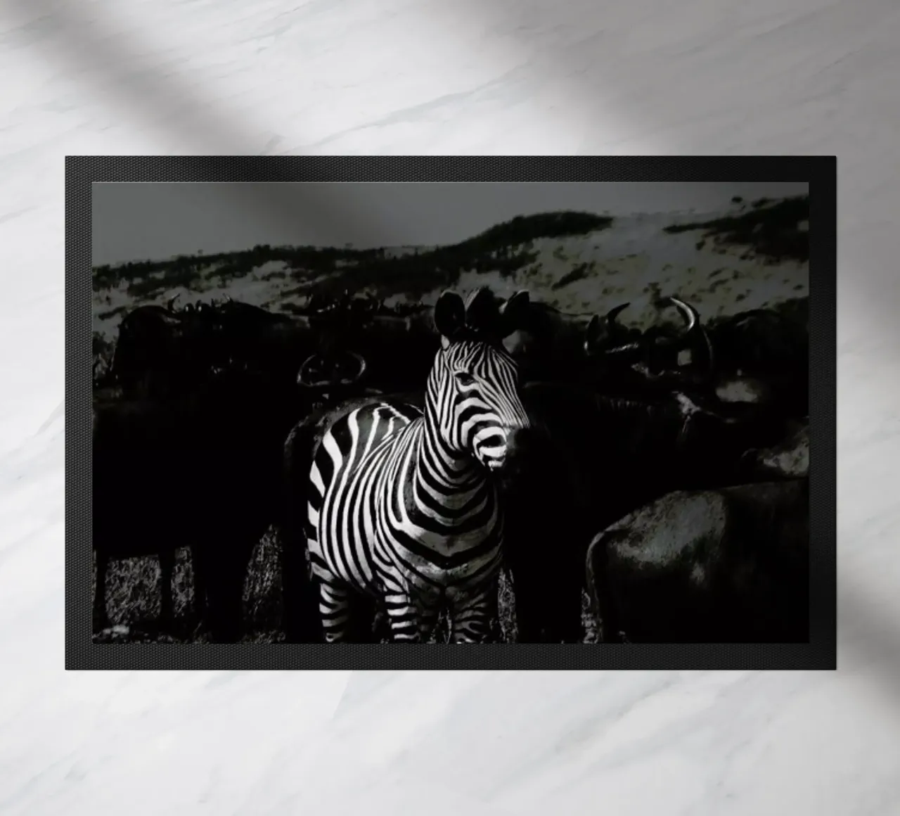 Stand Out zerbino da Natural Kingdom