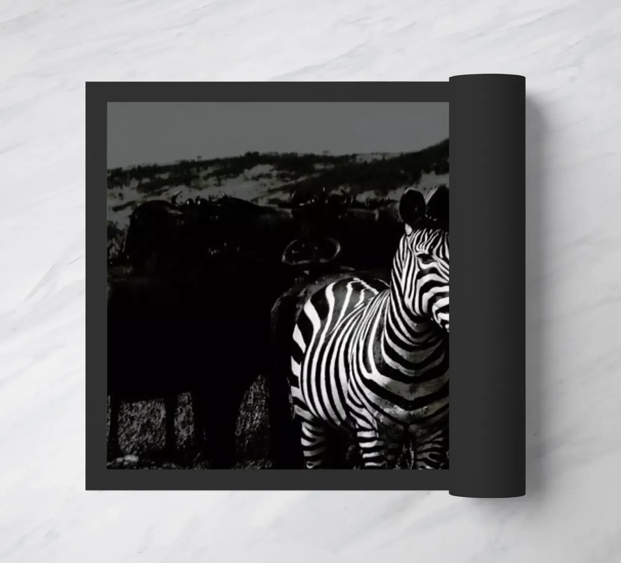 Stand Out zerbino da Natural Kingdom