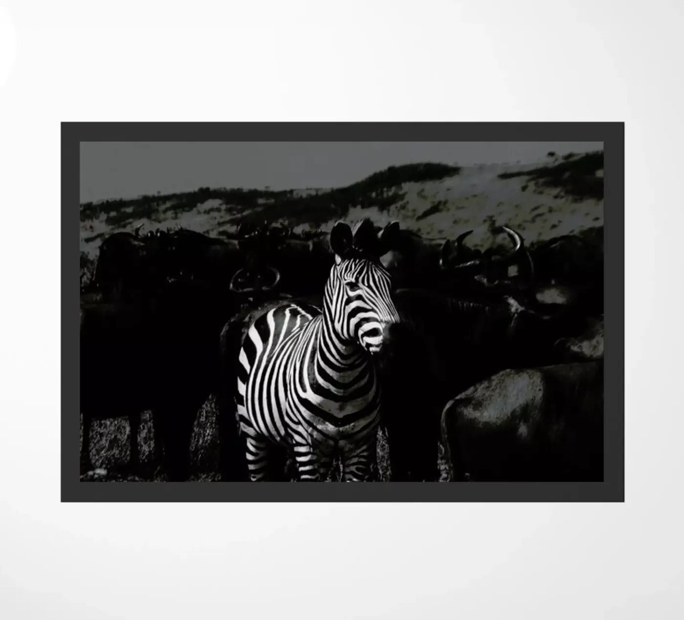 Stand Out Fußmatte von Natural Kingdom