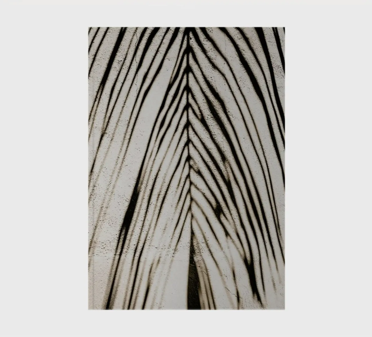 Palm Shadow notebook by Flora & Fauna