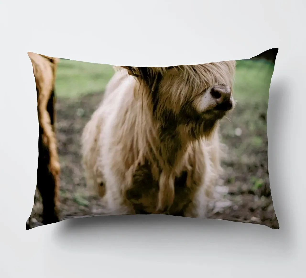 Highland Calf cuscino da Natural Kingdom