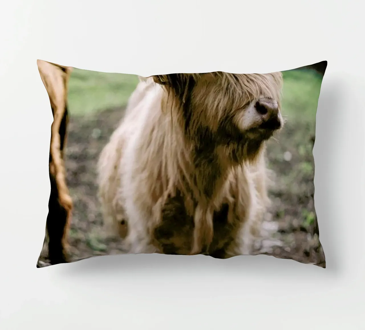 Highland Calf cuscino da Natural Kingdom