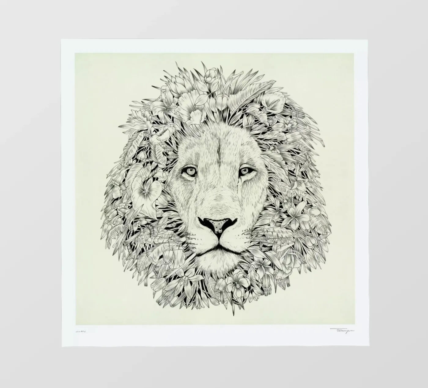 Lion pellicola backlit da Faunesque