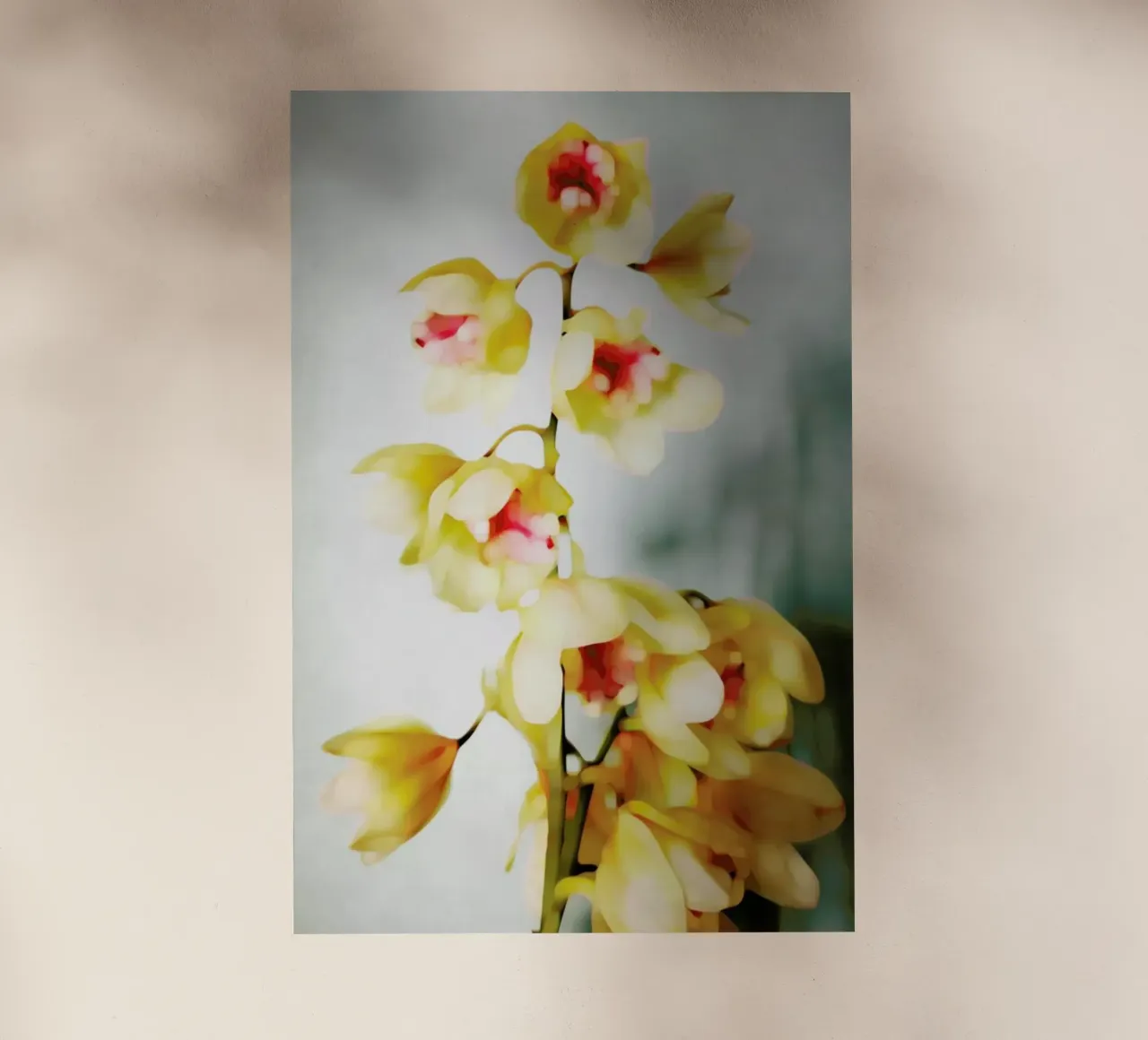 Orchids 2 pellicola backlit da Angelo Cerantola