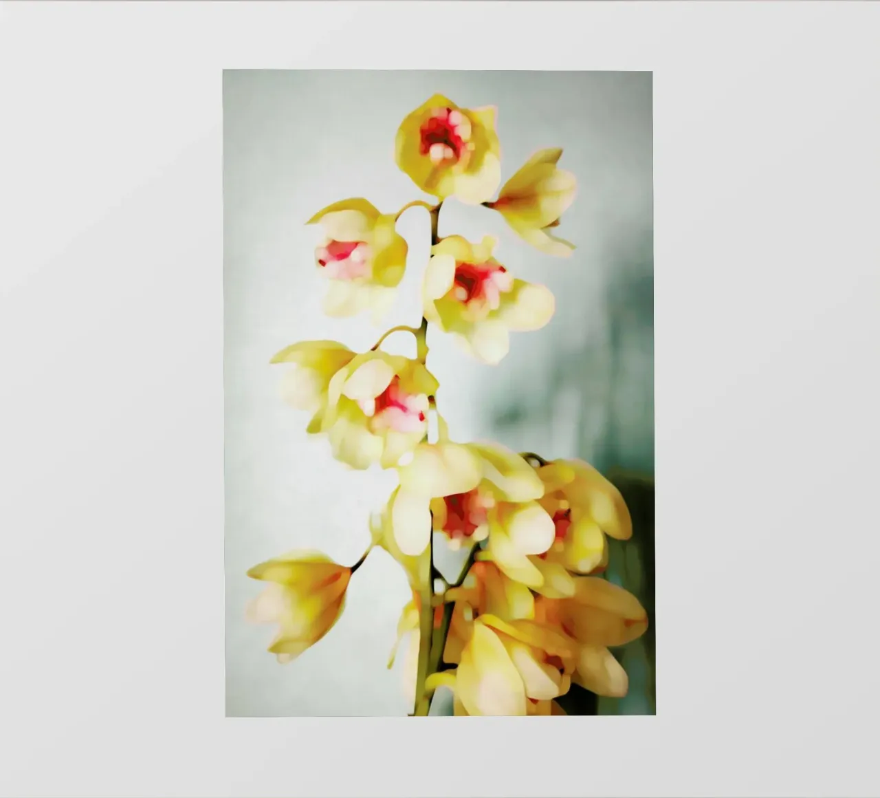 Orchids 2 telo in pvc da Angelo Cerantola