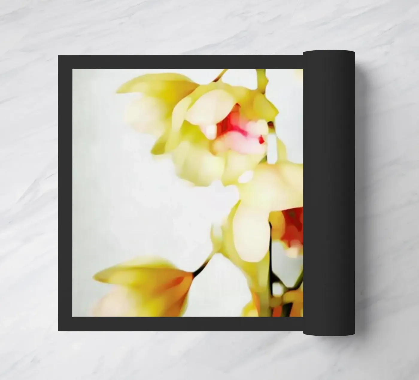 Orchids 2 zerbino da Angelo Cerantola