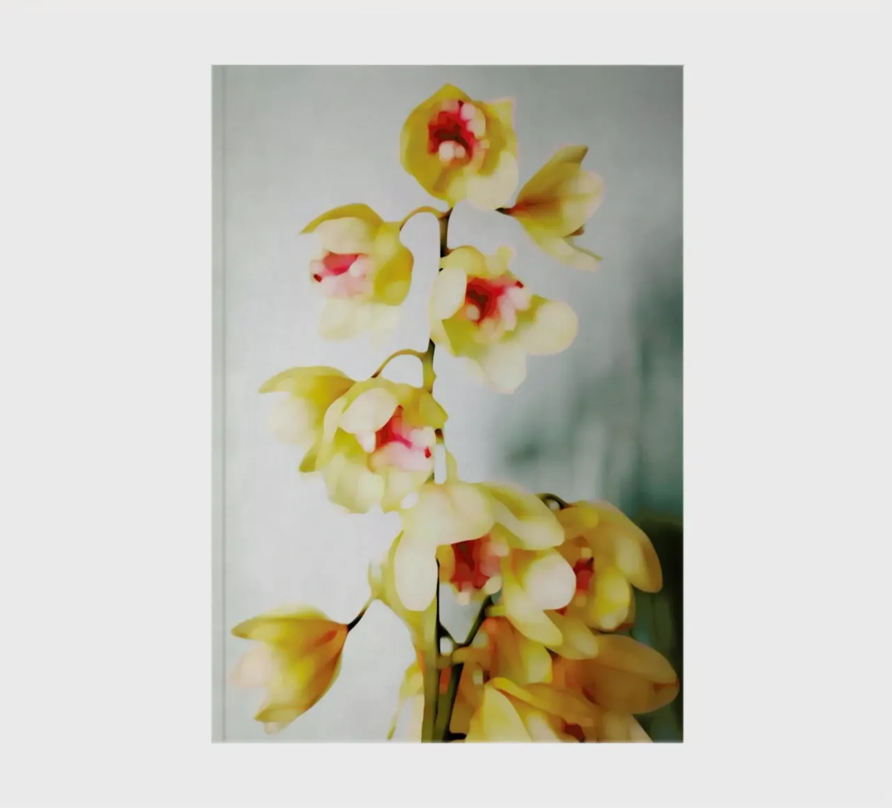 Orchids 2 notebook by Angelo Cerantola