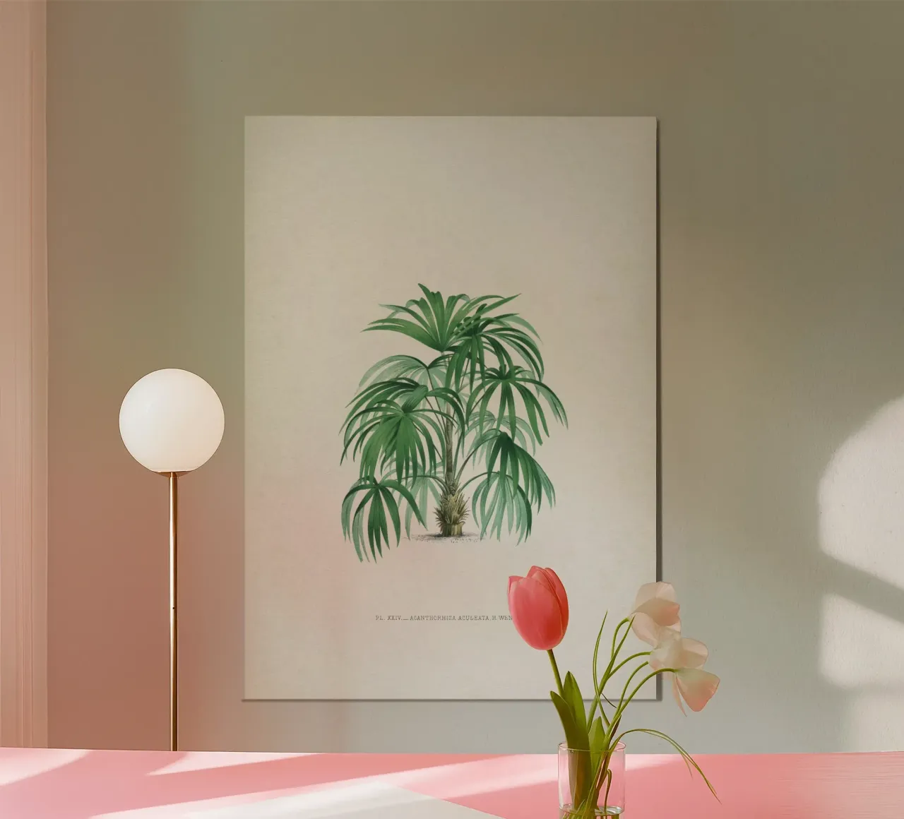 Vintage Kerchove 4 Les Palmiers 24 poster con telaio in alluminio da Vintage Print Collection