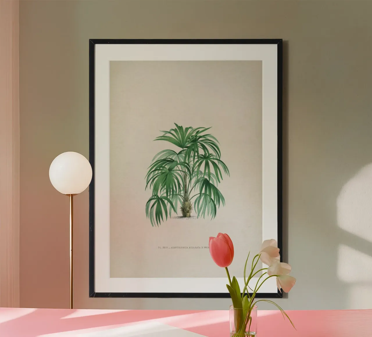 Vintage Kerchove 4 Les Palmiers 24 poster con telaio in alluminio da Vintage Print Collection