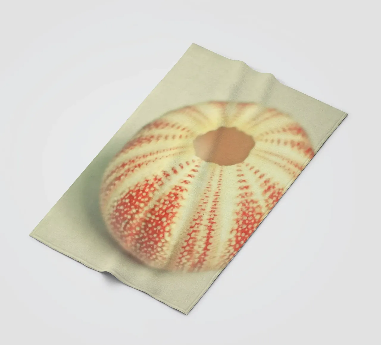 Riccio di mare coperta in pile da Cassia Beck Photography