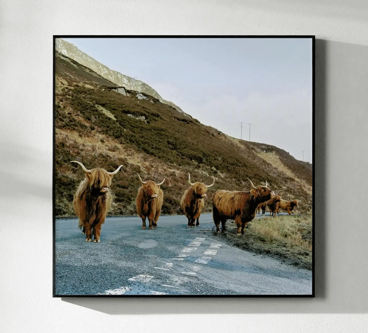 On the Road plexiglass da Natural Kingdom