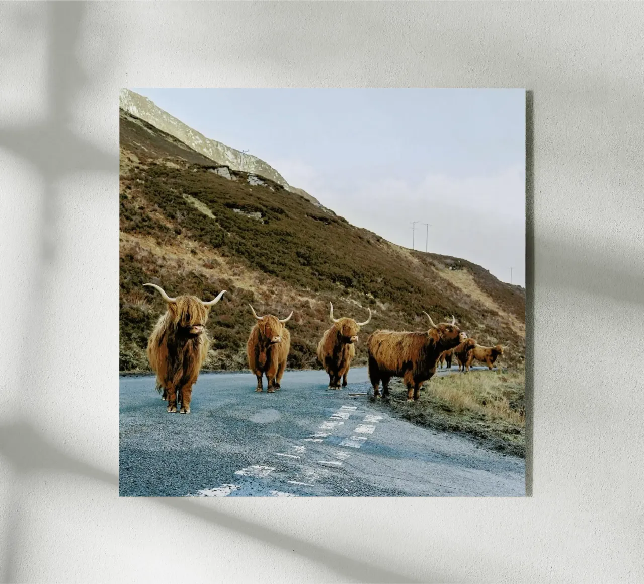 On the Road plexiglass da Natural Kingdom