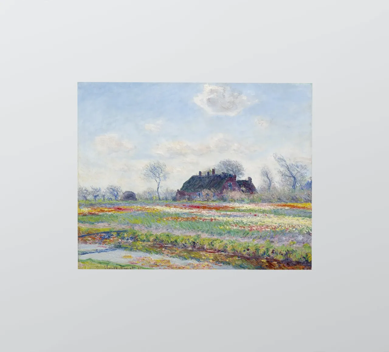 Claude Monet’s Tulip Fields at Sassenheim (1886) adesivo da Monet Art Prints