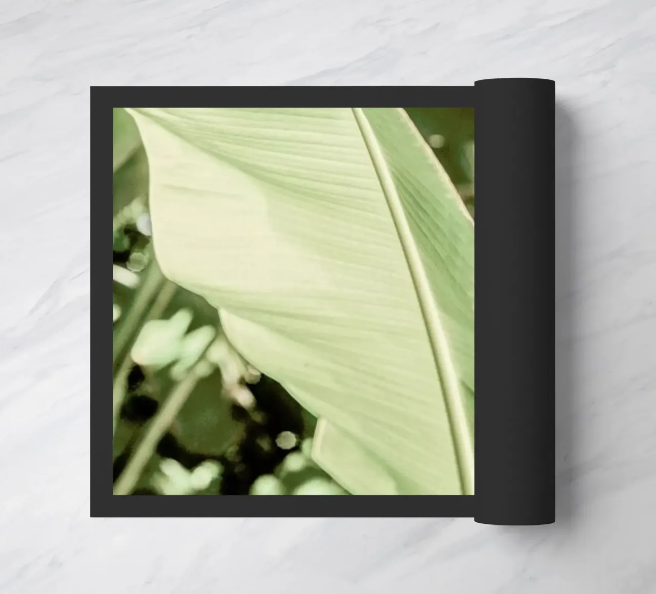 Lime Light zerbino da Shot By Clint