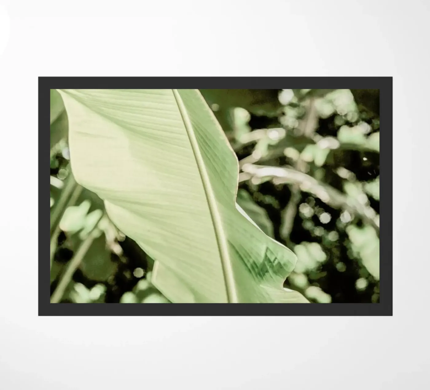 Lime Light doormat by Shot By Clint