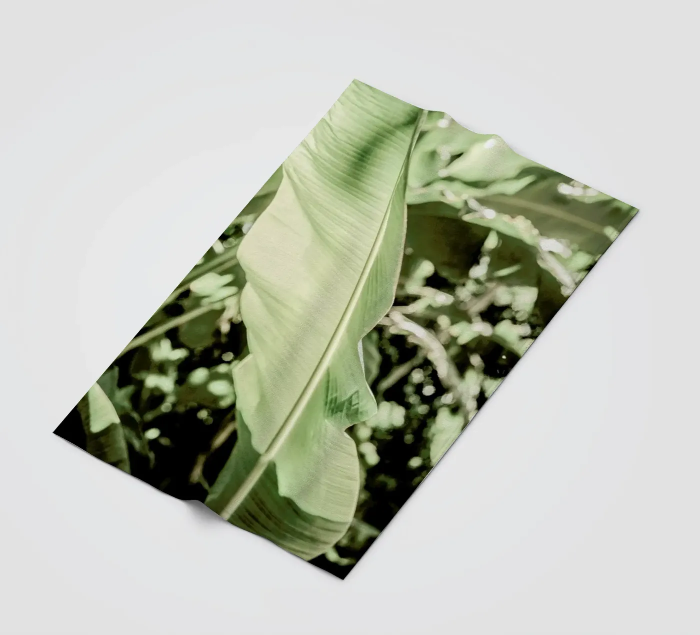 Lime Light fleece blanket by Shot By Clint
