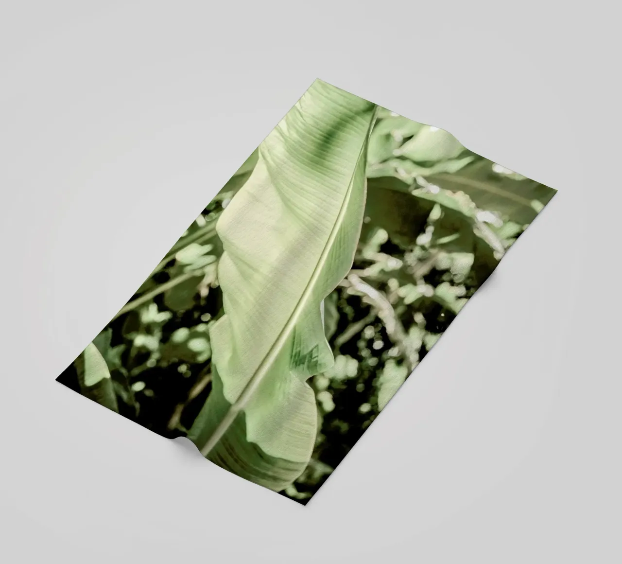 Lime Light beach towel by Shot By Clint