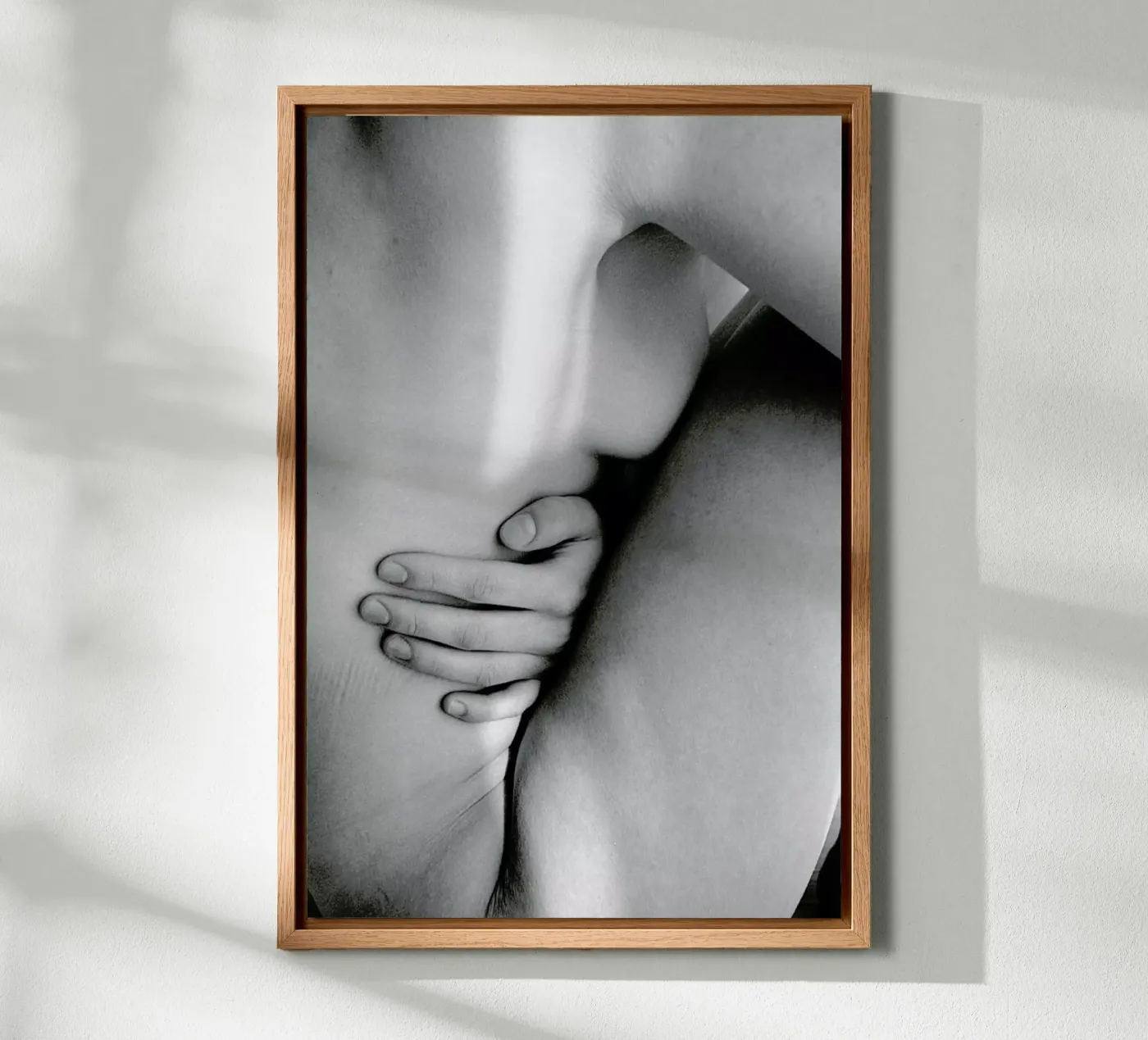 Softness panneau forex de EyeEm Mobile GmbH