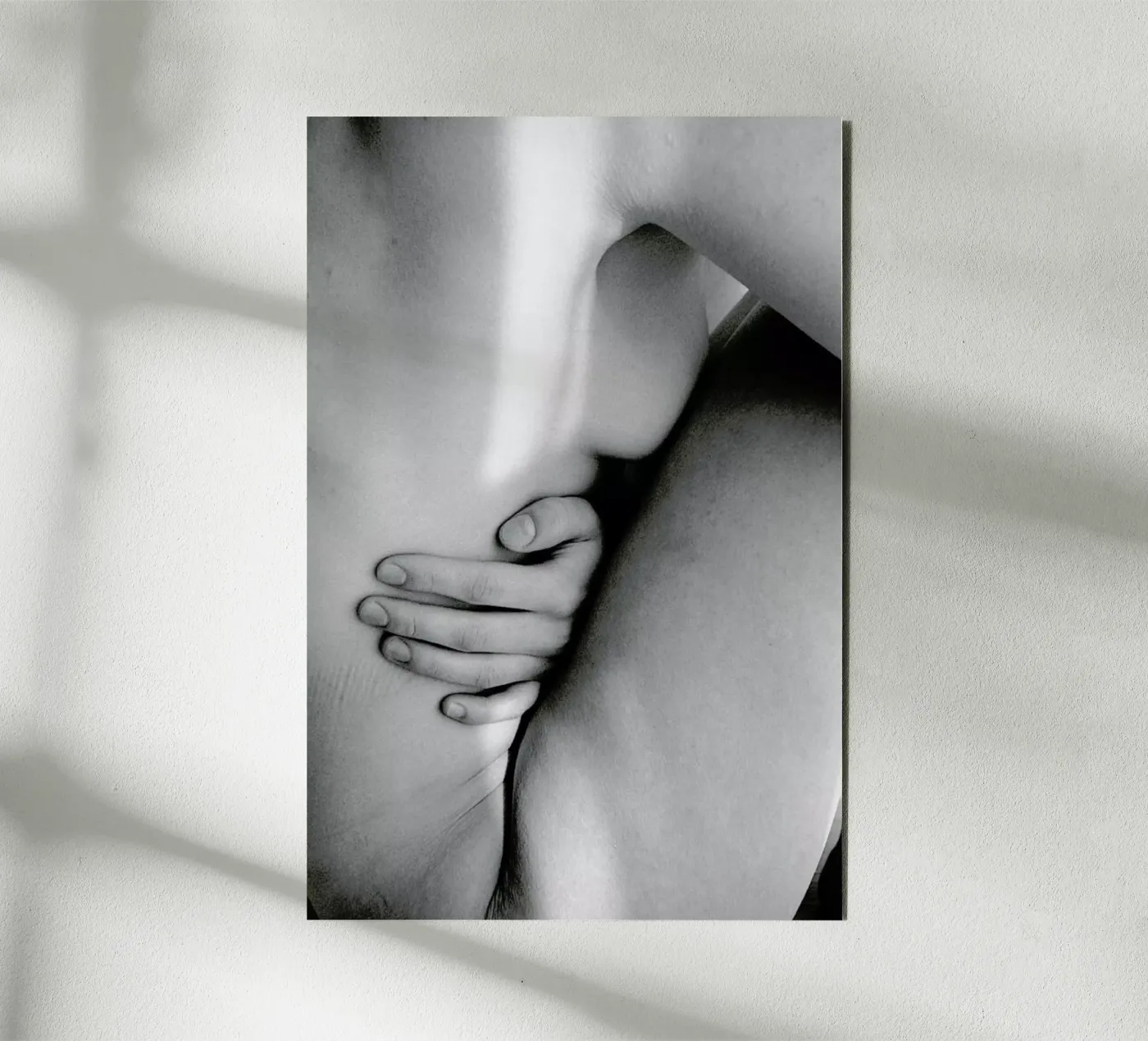 Softness panneau forex de EyeEm Mobile GmbH